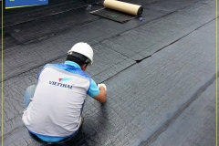 Mang-Tu-Dinh-Lemax-6