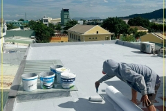 1_Revinex-Roof-6