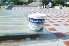 2_Revinex-Roof-2