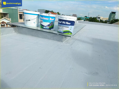 Revinex Roof 1