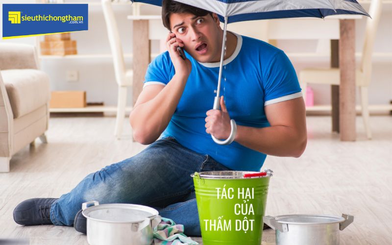 Thấm dột tại Ninh Bình đang là nhức nhối của nhiều gia đình