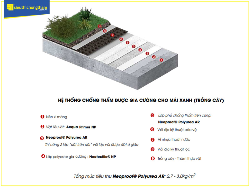 Mặt cắt mô phỏng quy trình chống thấm mái trồng cây sử dụng Neoproof Polyurea AR
